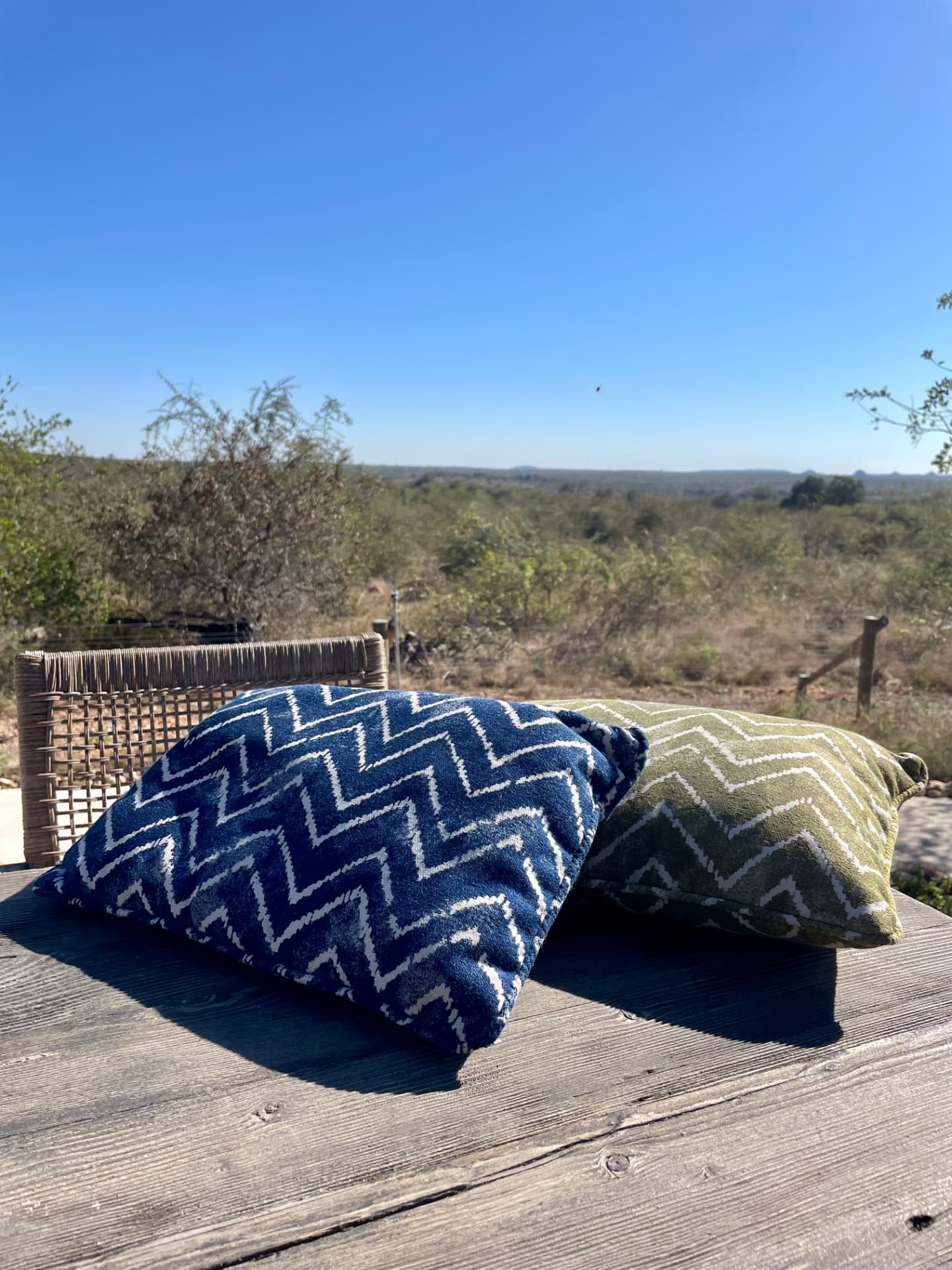 Chevron velvet outdoor scatter cushions